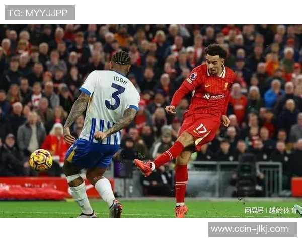 南安普顿对阵布莱顿比赛前瞻分析及双方近期状态评估